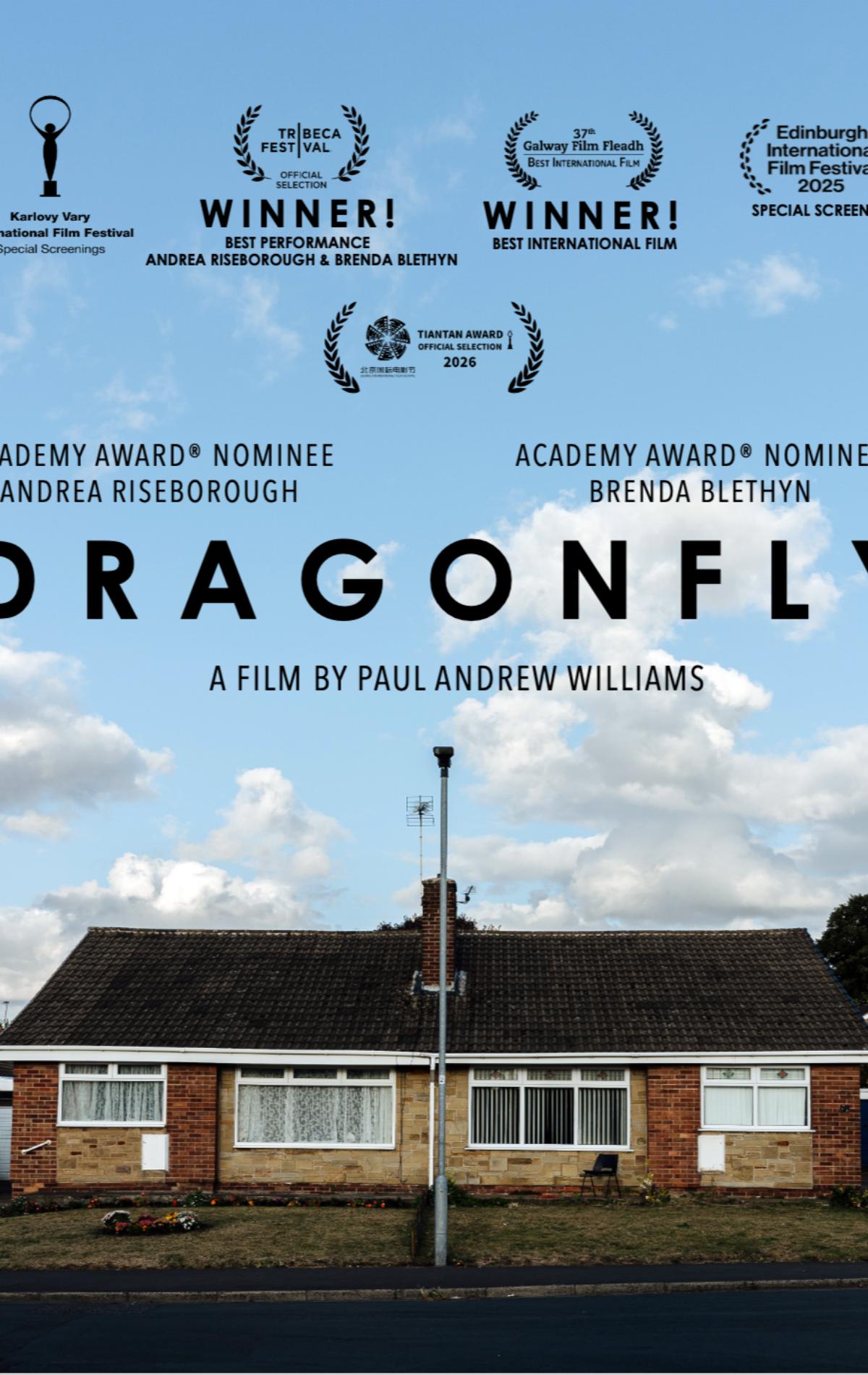 危情蜻蜓 海报(1).jpg