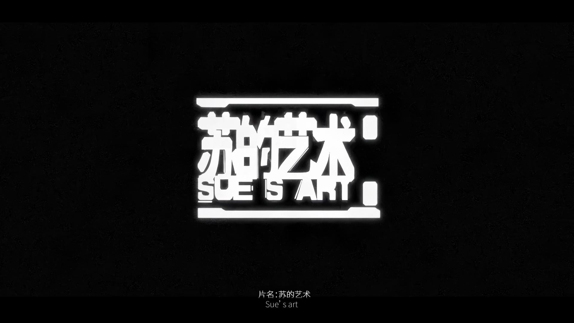 《苏的艺术》.jpg